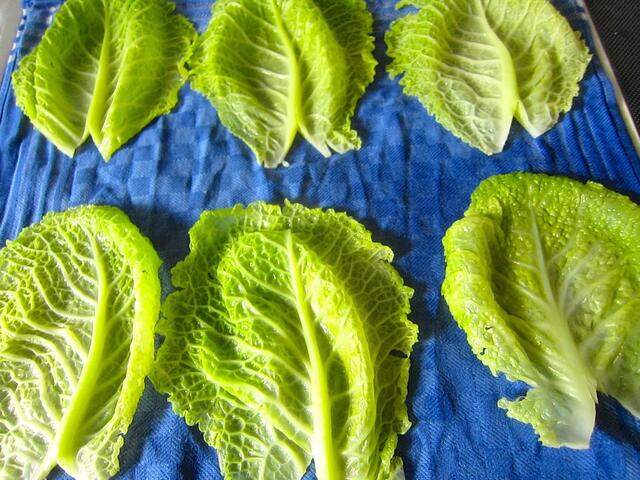 ... und zum Abkühlen nebeneinander auf ein sauberes Geschirrtuch legen.