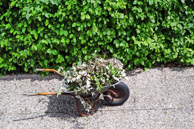 ... & nun wird alles geschreddert !!!