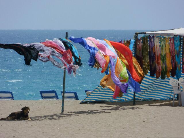 Sommerfarben im Wind