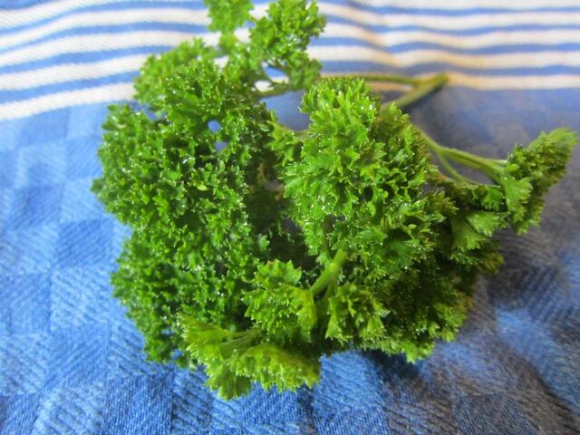 Geerntete oder gekaufte Petersilie mit kaltem Wasser abspülen, ausschütteln, von harten Stielen befreien ...