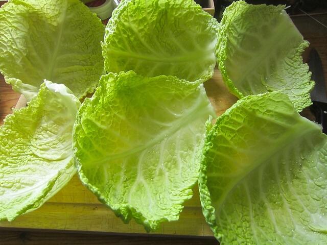 Vier große oder sechs kleinere Blätter kurz mit kaltem Wasser abspülen