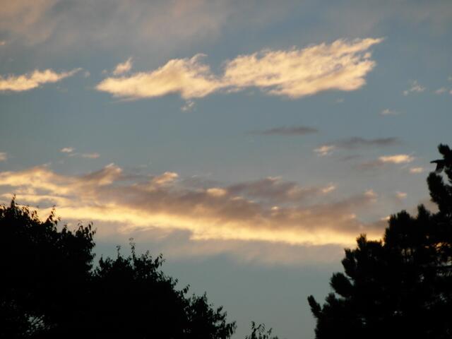Die Sonne und der Mond, die Sterne schweifen hin und her, ein farbenprächtiges Zusammenspiel, Das Universum ist Zeitlos!                                                                    (Verfasser Unbekannt)