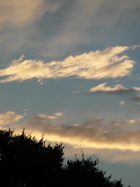 Folg mir zu den Sternen, im tanzenden Lichterrausch, vorbei an Galaxien peitscht uns der Wind, tausend Meilen voran, auch wenn die Mauern brennen,meine Heimat ist die Ewigkeit.......(Der Engelskrieger)
