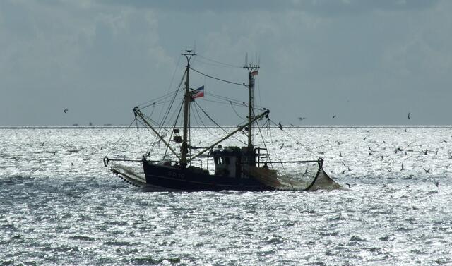 Fischen in der Nordsee