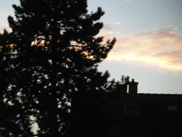 Das Glück eines kurzen Augenblicks ist mit nichts zu vergleichen.                                                                                    (Angelika Mack)