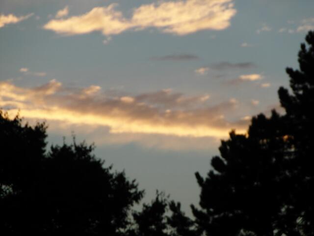 Auf einem Sonnenstrahl flieg ich zu Dir......                                          (Verfasser mir unbekannt)