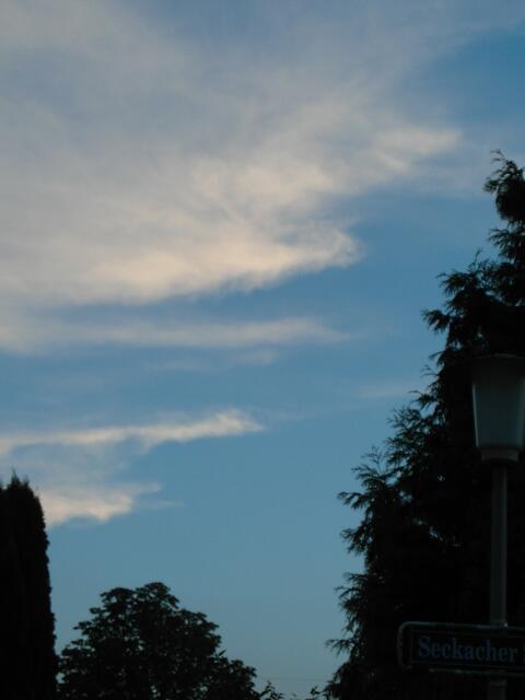 In der Ausdauer liegt die Weisheit des Geduldigen .                                               (Angela Mack)