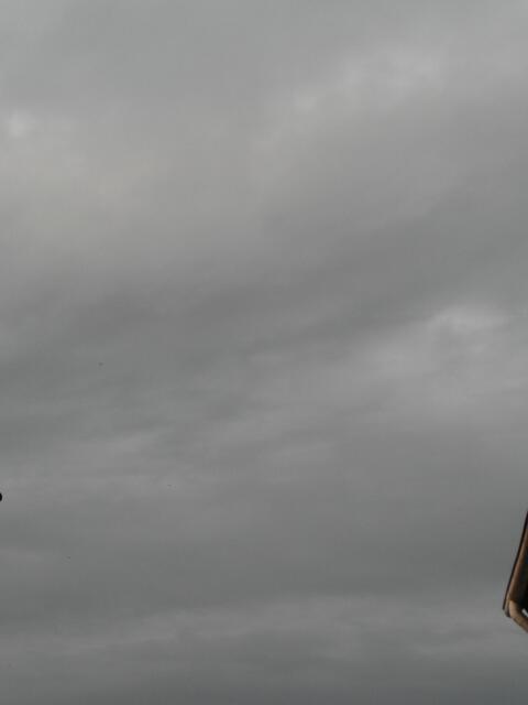 Schließe die Augen, durchreise die Zeit. Der Sandmann steht für Dich bereit--und ein kleiner Stern im weiten Raum ;wünscht Dir einen schönen Traum!                                 (Verfasser unbekannt)