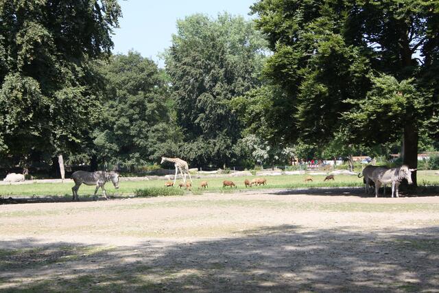 ... Zoo Besuch ...