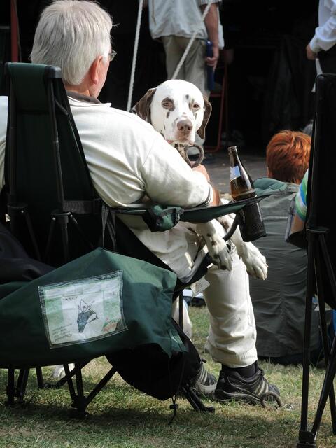 ...extra Bier für den müden Hund...oder wie ???