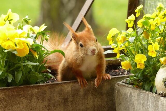 Foto: Renate Arndt