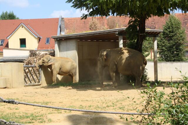... Zoo Besuch ...