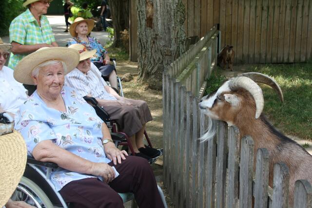 ... Zoo Besuch ...