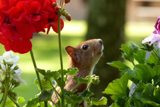 Foto: Renate Arndt