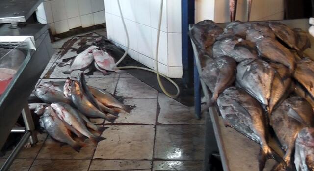 Speisefisch auf dem schmutzigen Fussboden