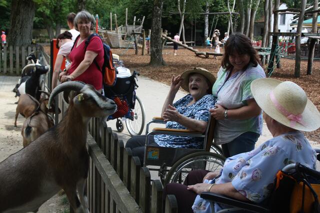 ... Zoo Besuch ...