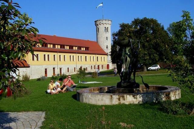 Picknick in Zscheiplitz