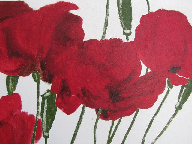 Klatschmohn