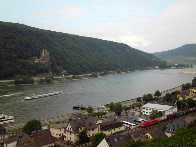 Blick auf "Vater Rhein"