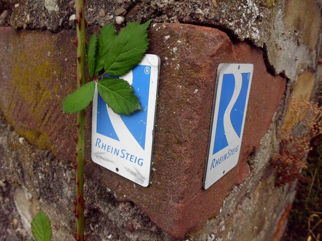 Rheinsteig