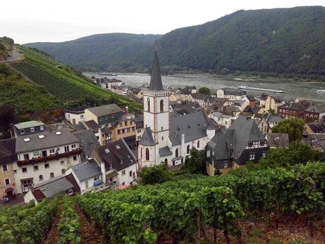 Blick auf Assmannshausen