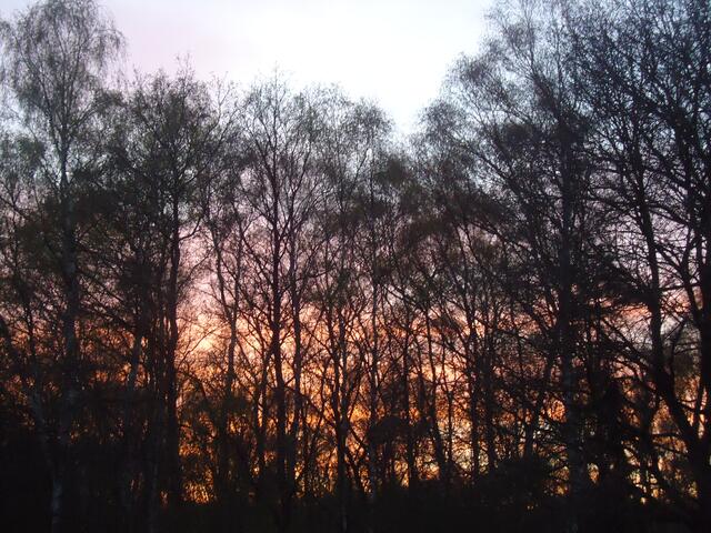 Sonnenuntergang, lauer Sommerabend