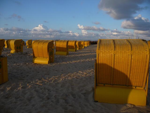 Sonnige Körbe