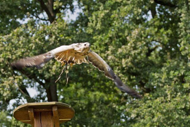 Ich mach ‘nen Abflug.