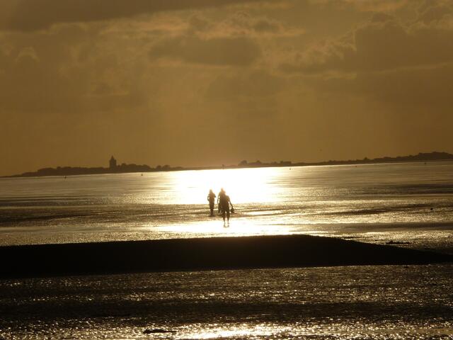 Watt in der Nordsee