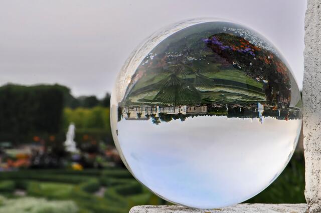 Eigentlich wachsen Blumen doch immer nach oben ... (schmunzel)