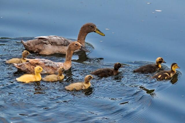 Sind wir nicht schon grooooooß geworden ???
