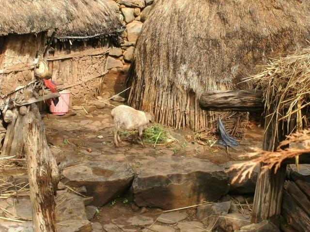 Das ist unser Haus in Südäthiopien . Wir sind Konso