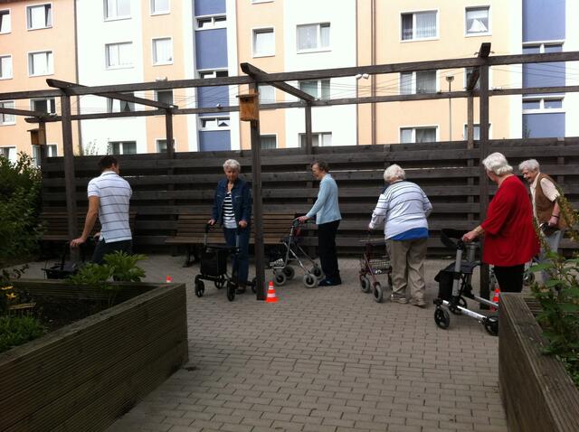 Der Hindernisparcour