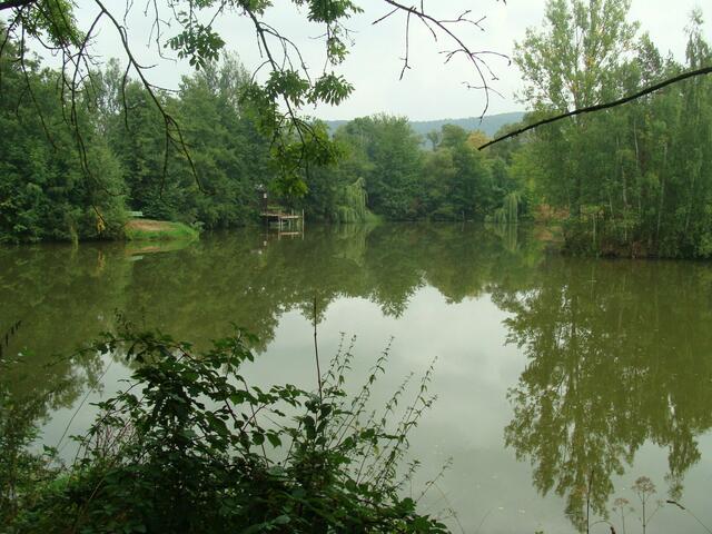 Teichanlage