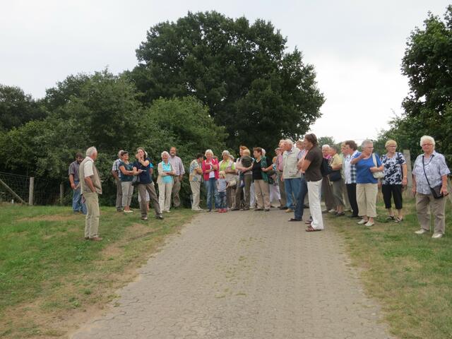 am Aller-Deich in Eickeloh