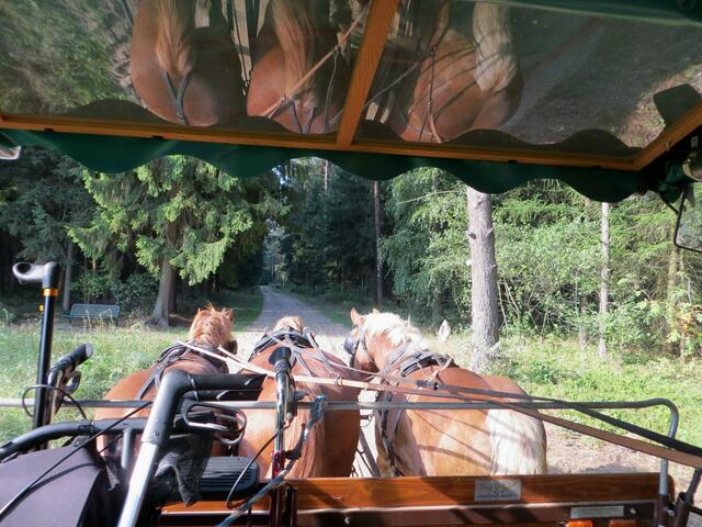 ... saß ich beim Kutscher vorn ...