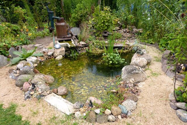 Das Kleinod im Garten