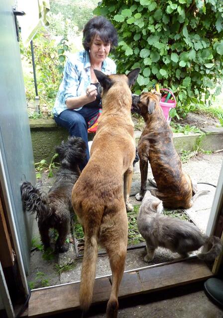 Gabriele hat Leckerli mitgebracht. Jaccy, Barry und Boxy sind begeistert. Die kleine Katze zeigt sich noch desinteressiert.