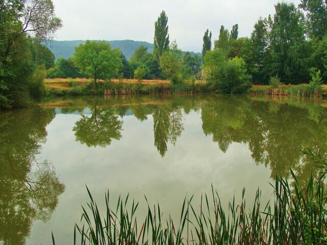Teichanlage