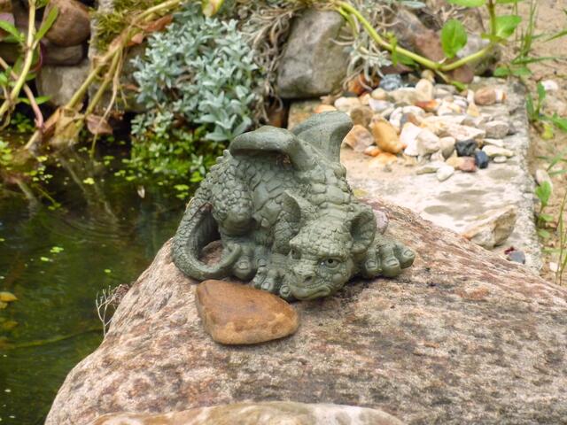 Ein lieb schauender kleiner Drache