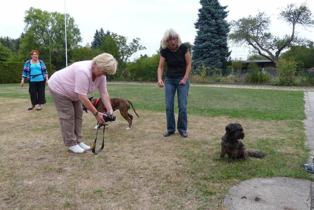 Karin fotografiert und tollt mit den Hunden -