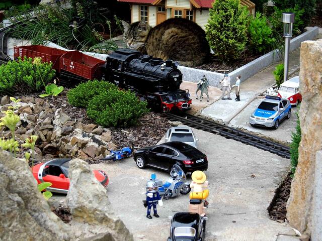 Ricki macht Pause.. kümmert sich nicht um Sirenengeheule