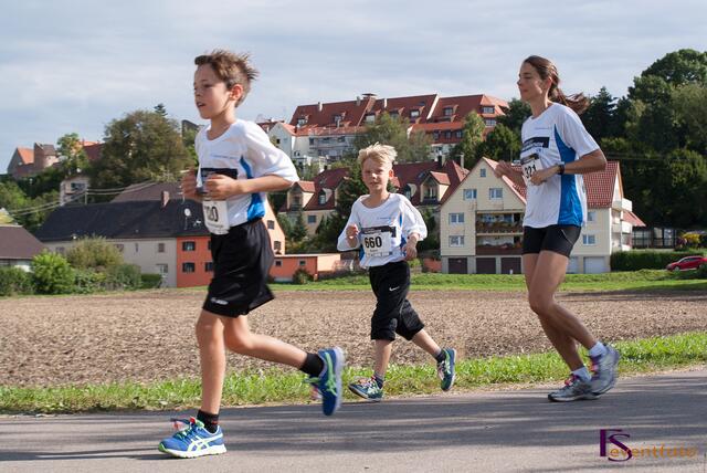 11. Friedberger Halbmarathon 2013