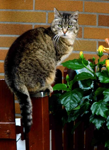 Warten auf 's (Fr)essen