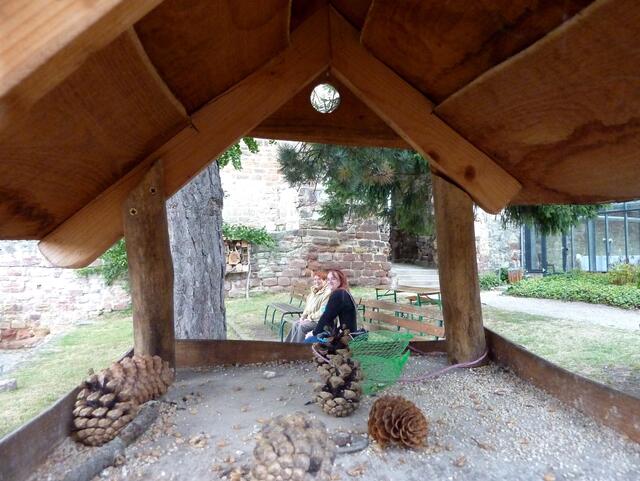 Blick durchs Vogelhaus