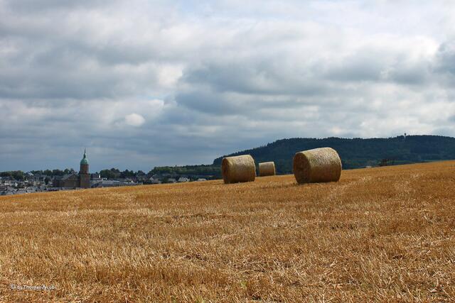 ...bot sich diese Aussicht.