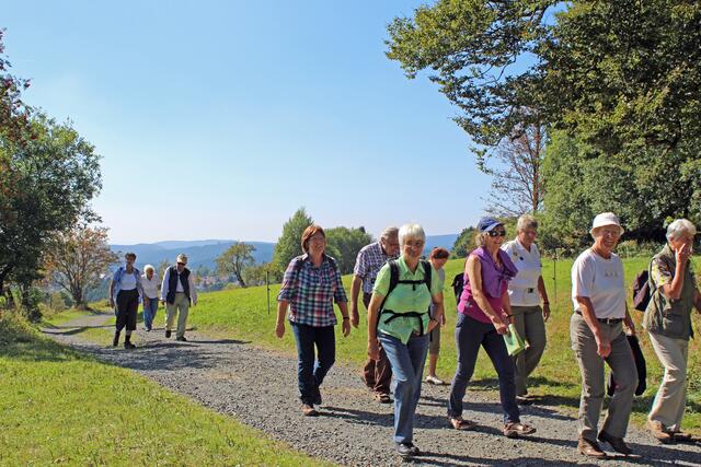 Die Gruppe beim Wandern auf dem Höhenweg in Sankt Andreasberg.