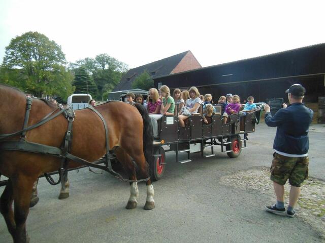 Kutschfahrt in die Heide