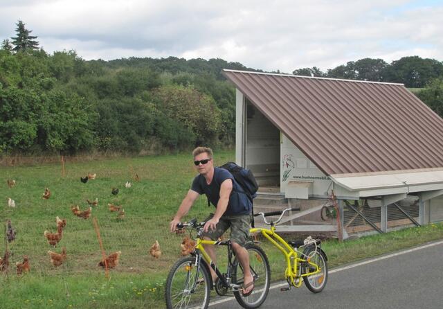 Die Hühner auf der Wiese sind 'unterwegs' mit einem Hühnermobil !