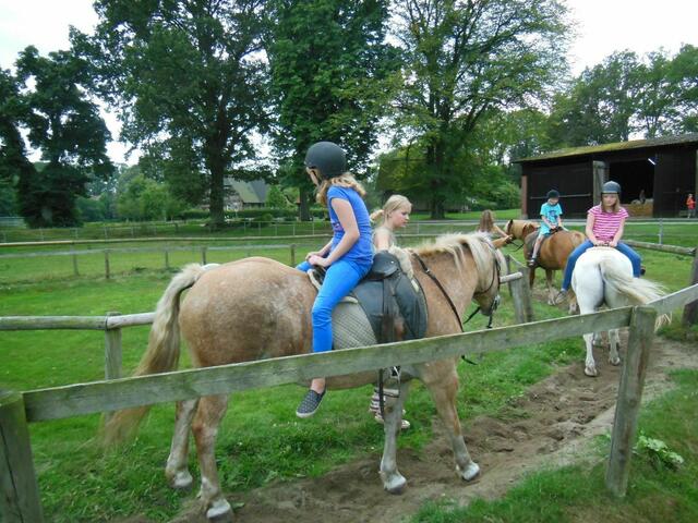 Jule, Finnja und Adrian reiten rückwärts.